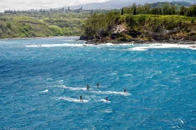 ginxu-dragonfly-3-carbon-feeling@2x