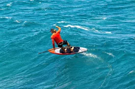 ginxu-dragonfly-crossing-2-hollow-pro-carbon-agility@2x