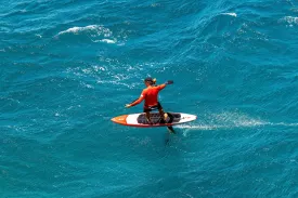 ginxu-dragonfly-crossing-2-hollow-pro-carbon-speed@2x