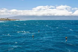 ginxu-dragonfly-crossing-2-pro-carbon-feeling@2x