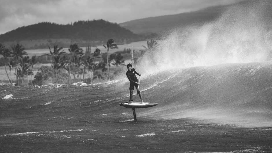 2023_ginxu_dragonfly_feel_2