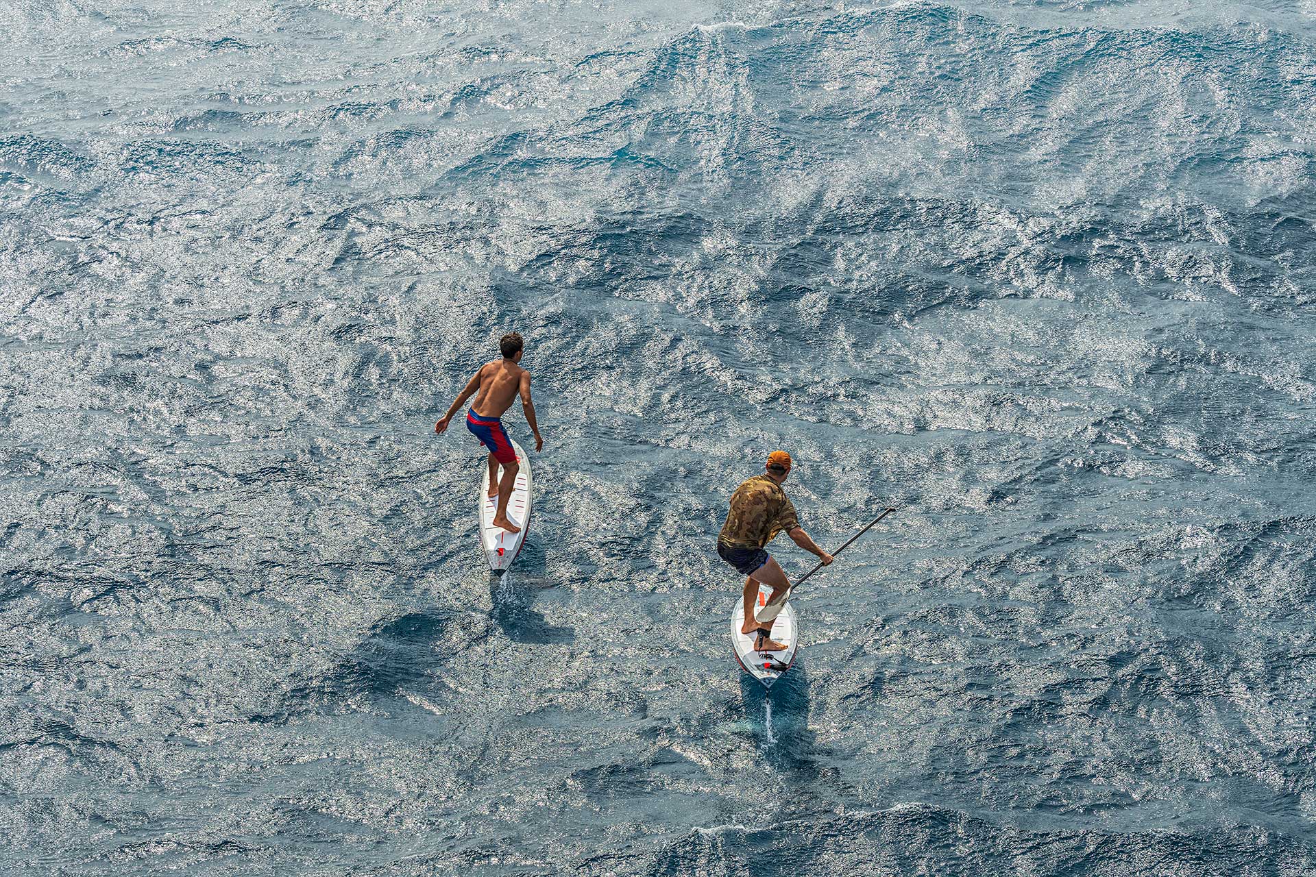 2023_ginxu_dragonfly_oos