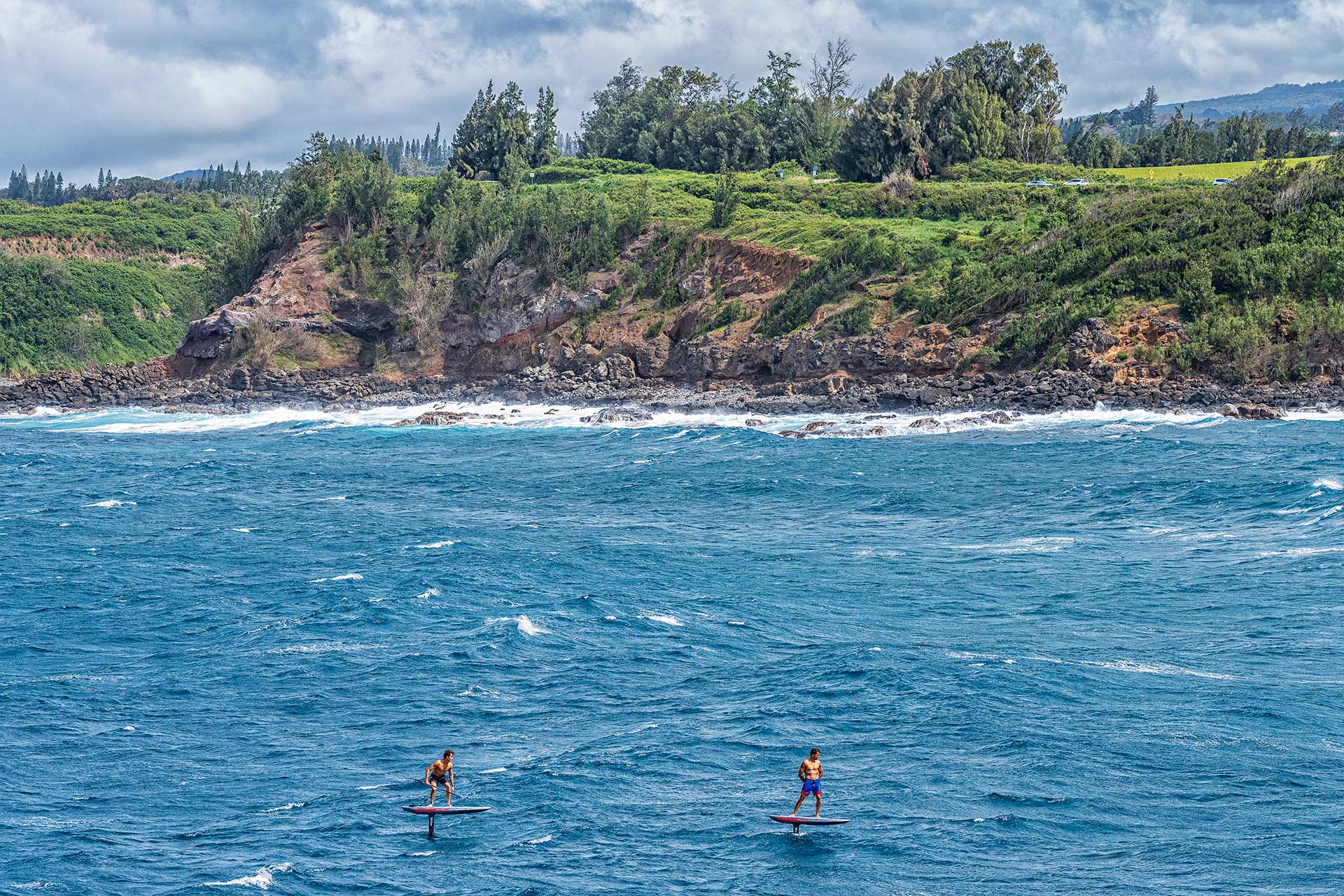 2023_ginxu_dragonfly_voyage